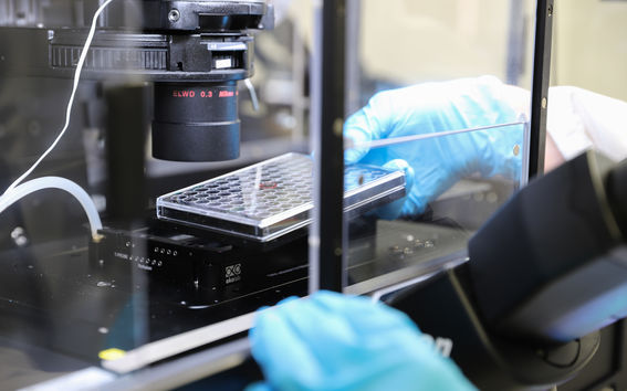 Tutkimuslaitteistoa ja muovihansikkaisiin puetut kädet.