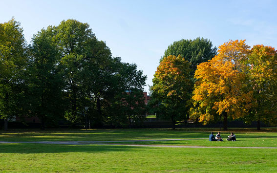 Campus på hösten