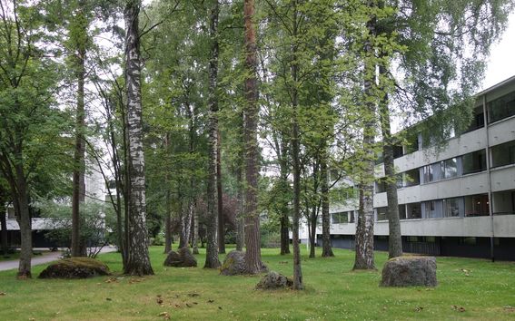 Puustoa kerrostaloalueella.