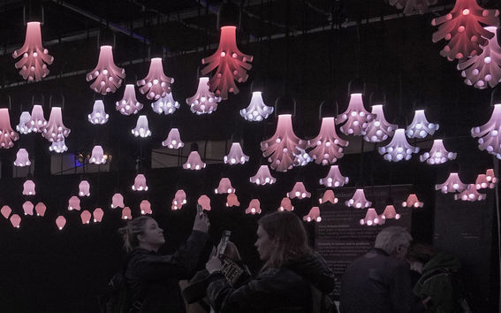 Evolumination at DDW 2023, by Kollegi.