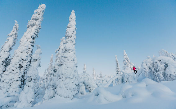Snowy landscape in Levi