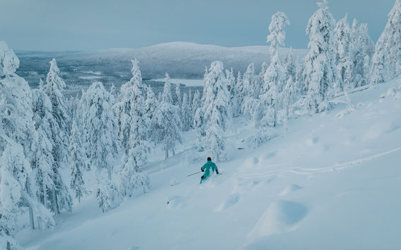 Alpine skiing in Levi