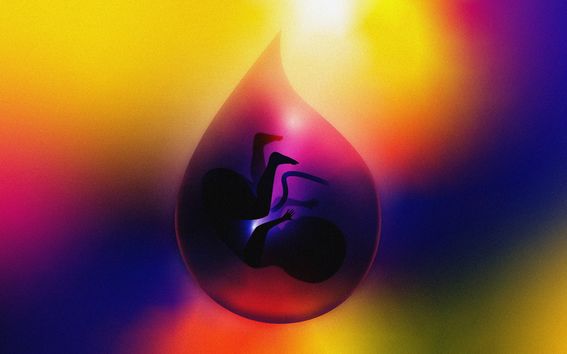 Sini-kelta-punasävyisessä piirroskuvassa on vesipisaran sisällä sikiö.