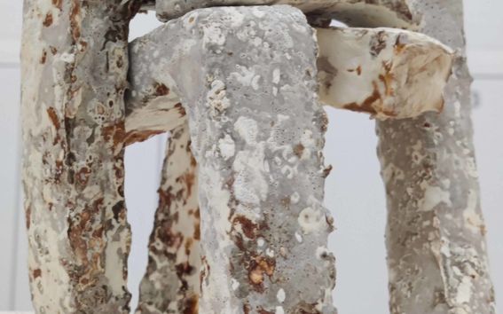 Sienen päällystämä rakennelma.