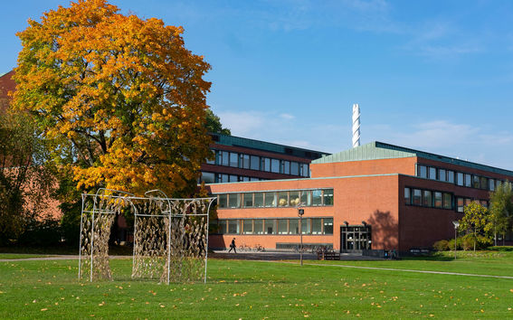 Bredvid universitetsbyggnaden i rött tegel lyser en lönn i höstbuskarnas färger, och på den gröna gräsmattan i förgrunden finns ett konstverk