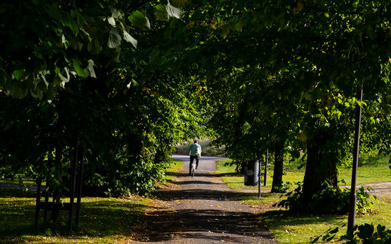 aalto_university_campus_photos_240920_photo_Anni_Kaaria-6