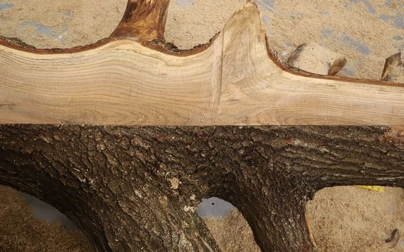 piece of wood on the floor