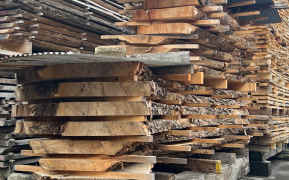 Main image for art-ai-fact project by Yoshida and Larson