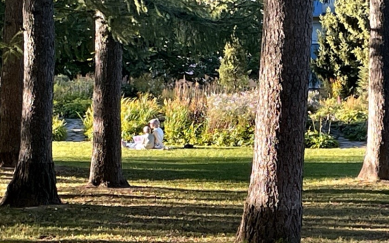Two people sit on the grass in a park, partially shaded by trees, with colourful flowers and greenery in the background.
