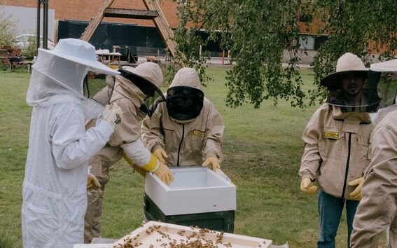 Beekeepers in protective gear working with hives in a park, near a wooden structure and a building.