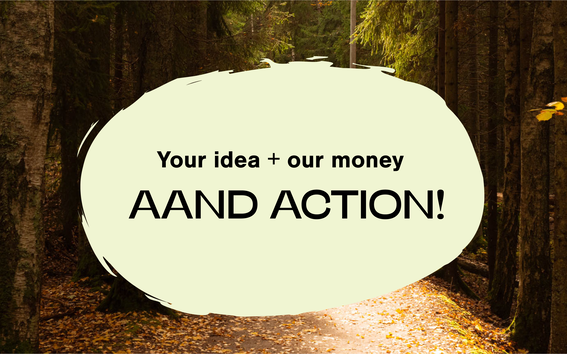 Text bubble in a forest, saying 'Your idea + our money AAND ACTION!'. Path covered with autumn leaves.