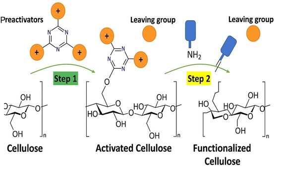 Diagram showing cellulose activation (step 1) and functionalization (step 2) with chemical structures and groups.
