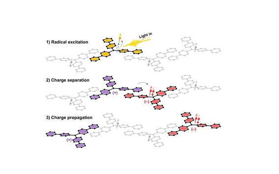 Illustration showing radical excitation, charge separation, and charge propagation in a molecular chain.
