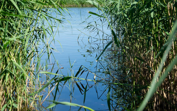 Photo: Anni Kääriä