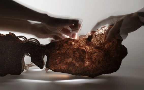 Bag made of bio-based material derived from bulrush