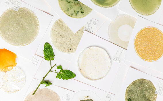 Erilaisia pyöreitä näytteitä valkoisilla korteilla, kuten vihreä, keltainen ja beige, vihreiden lehtien oksa.