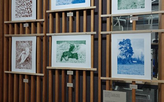 selection of art prints curated and screen printed by the researcher