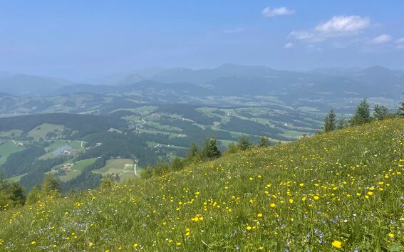 Maisema Schöckl-vuorelta Grazissa, Itävallassa.