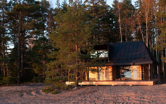 A wooden sauna with a black roof amidst tall trees, illuminated by warm sunlight.