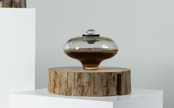A glass container with brown liquid on a wooden base, placed on a white pedestal.