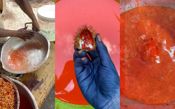 A collage of the process of dyeing with achiote, a fruit that yields orange colour. A blue-dyed hand is holding it while liquid is poured.
