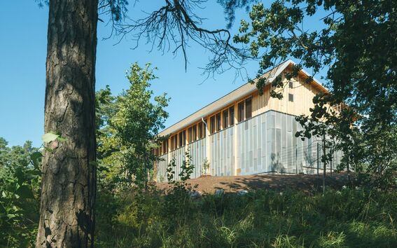 Modern light wood and metal building on a slope, surrounded by tall green trees under blue sky
