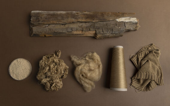 Brown-toned display of wood, pulp, fibre, thread cone and knitted fabric, showing stages from log to textile.