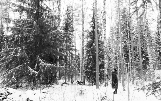 Person in dark coat stands in snowy forest of tall fir and birch trees, black and white scene