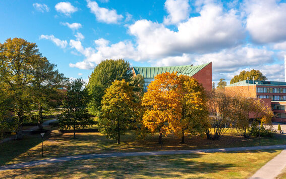 Campus park with green and orange autumn trees before a brick building under a blue sky with clouds