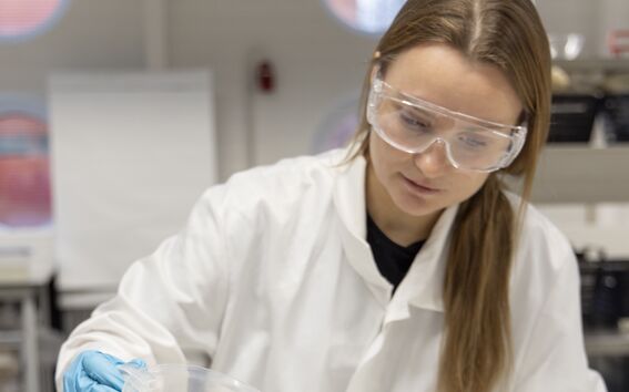 Tutkija kaataa tummaa nestettä kannusta matalaan lasiastiaan laboratoriopöydällä