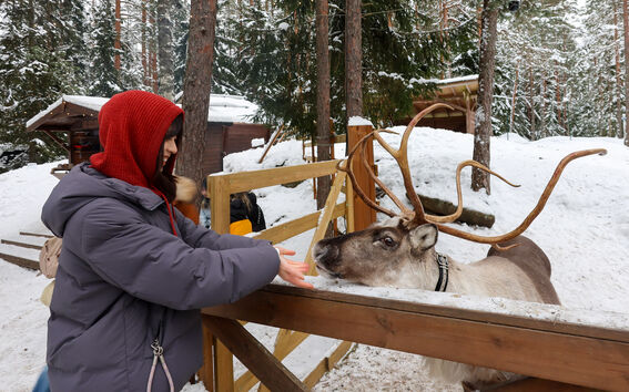 Smiling woman in red hood and grey coat greeting a reindeer at a snowy forest.