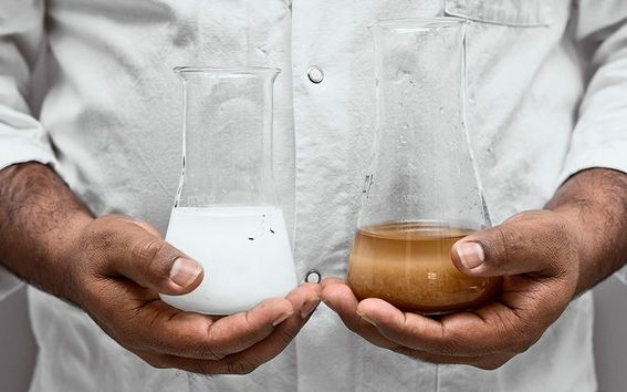 Catalyst could help bleach pulp in seconds photo: Heidi-Hanna Karhu