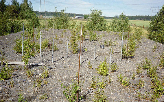 Aalto University School of Engineering