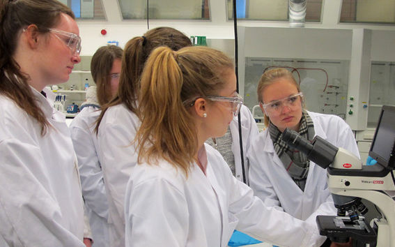 Lauttasaaren yhteiskoululaiset analysoivat mikroskoopin avulla hiusten koostumusta.
