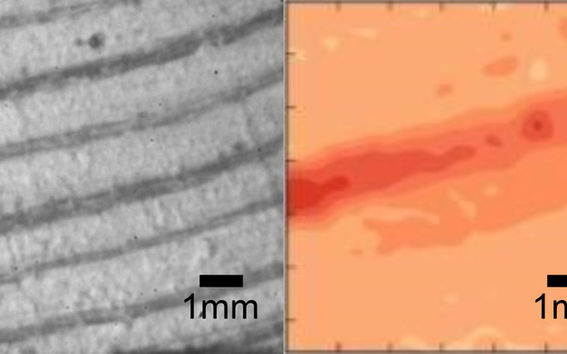 Year rings show collapse as a result of the piston’s compression) The images taken by the camera clearly display the year rings of the wood. Comparing two consecutive images reveals the collapse of a year ring. This is seen in the picture on the right as a dark red stripe, which signifies a large local deformation. Picture: Markus Ovaska.