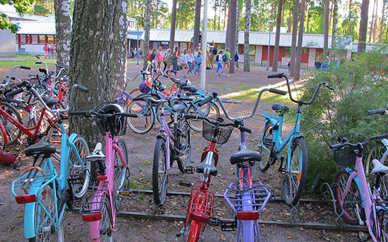 Around 60 per cent of boys aged 15-16 years and half of girls of the same age do physical exercise at the level recommended by the world Health Organisation WHO, i.e. a minimum of half an hour every day. According to another study, half of children over 12 do more than this recommended level.