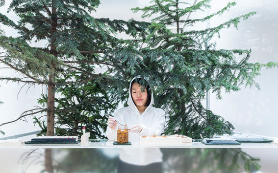 Laavu installation, photo: Valentina Casalini