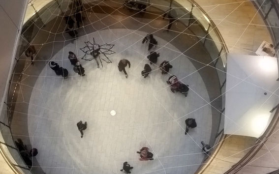 Aneta Atsova's Spider was made of clothes hangers. Photo: Andy Best-Dunkley.