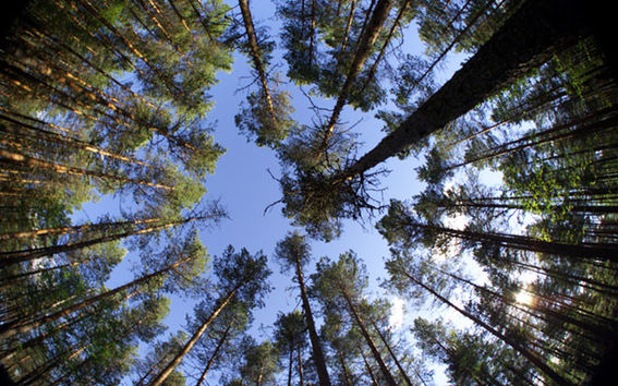 Aalto University School of Engineering