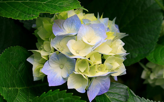 Apologies for the misunderstanding!