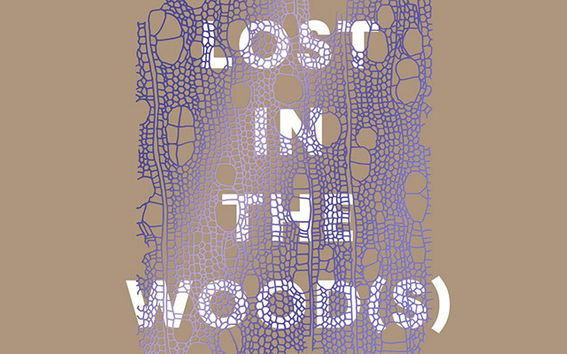 lost in the woods logo