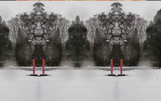 Danai Anagnostou: Winter Portraits / Talvimuotokuvia.