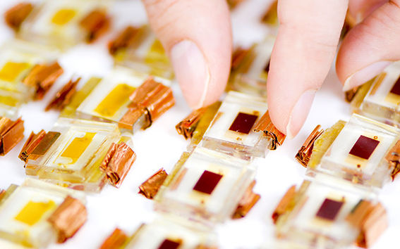 In studies on the ageing of perovskite solar cells and the dye cells in the picture, a sufficiently large number of samples is one of the prerequisites for quality. Photo: Valeria Azovskaya, Materials Platform, Aalto University.