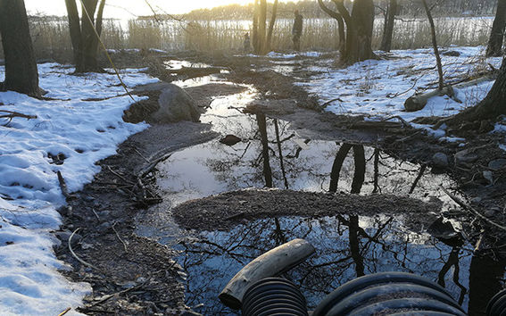 Hulevettä valuu viemäriputkea pitkin mereen