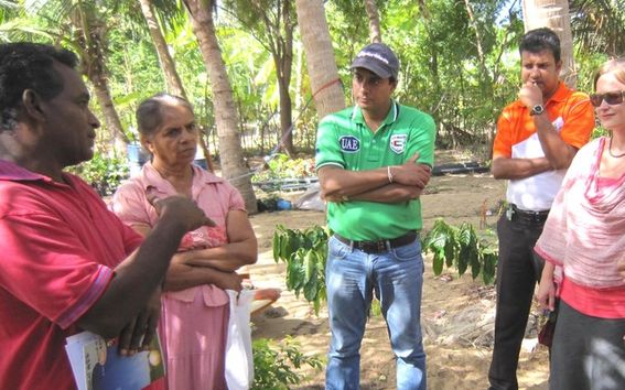 Tytti Nahi's two-and-half-year empirical study includes seven company–NGO partnerships in India and Sri Lanka.