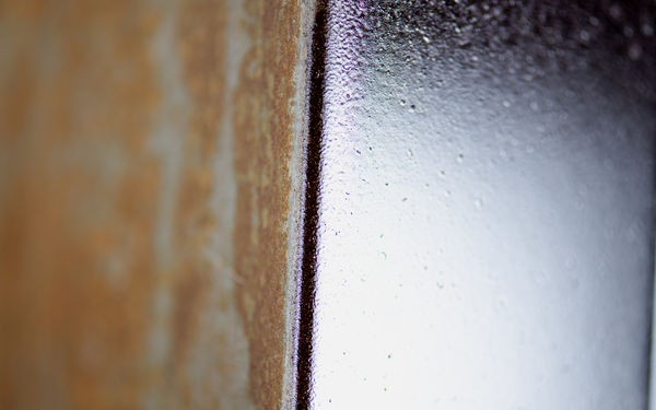 Lignin coating_photo Valeria Azovskaya