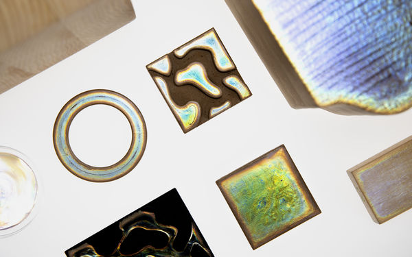 Colour from wood_photo Valeria Azovskaya