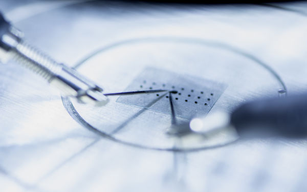 Brain-like computing_research Sayani Majumdar_photo Valeria Azovskaya