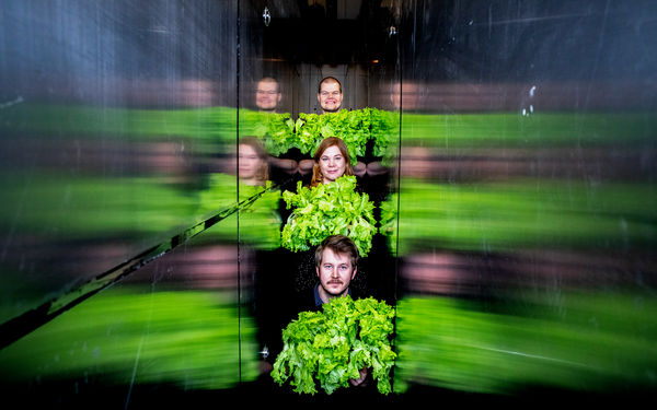 Kuvassa Pasi Herranen, Orvokki Ihalainen ja Panu Miettinen 