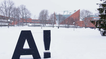 camous at wintertime